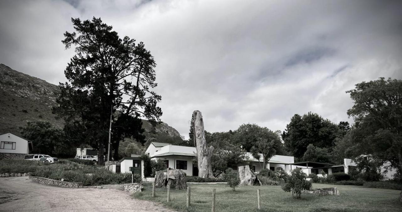 The Volmoed Trust Villa Hermanus Dış mekan fotoğraf