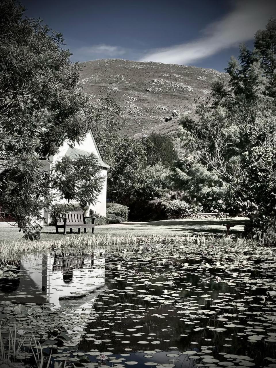 The Volmoed Trust Villa Hermanus Dış mekan fotoğraf