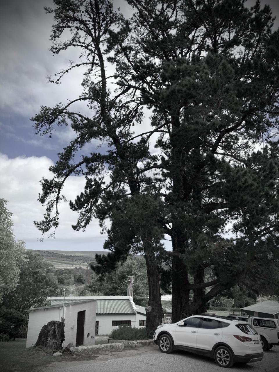 The Volmoed Trust Villa Hermanus Dış mekan fotoğraf