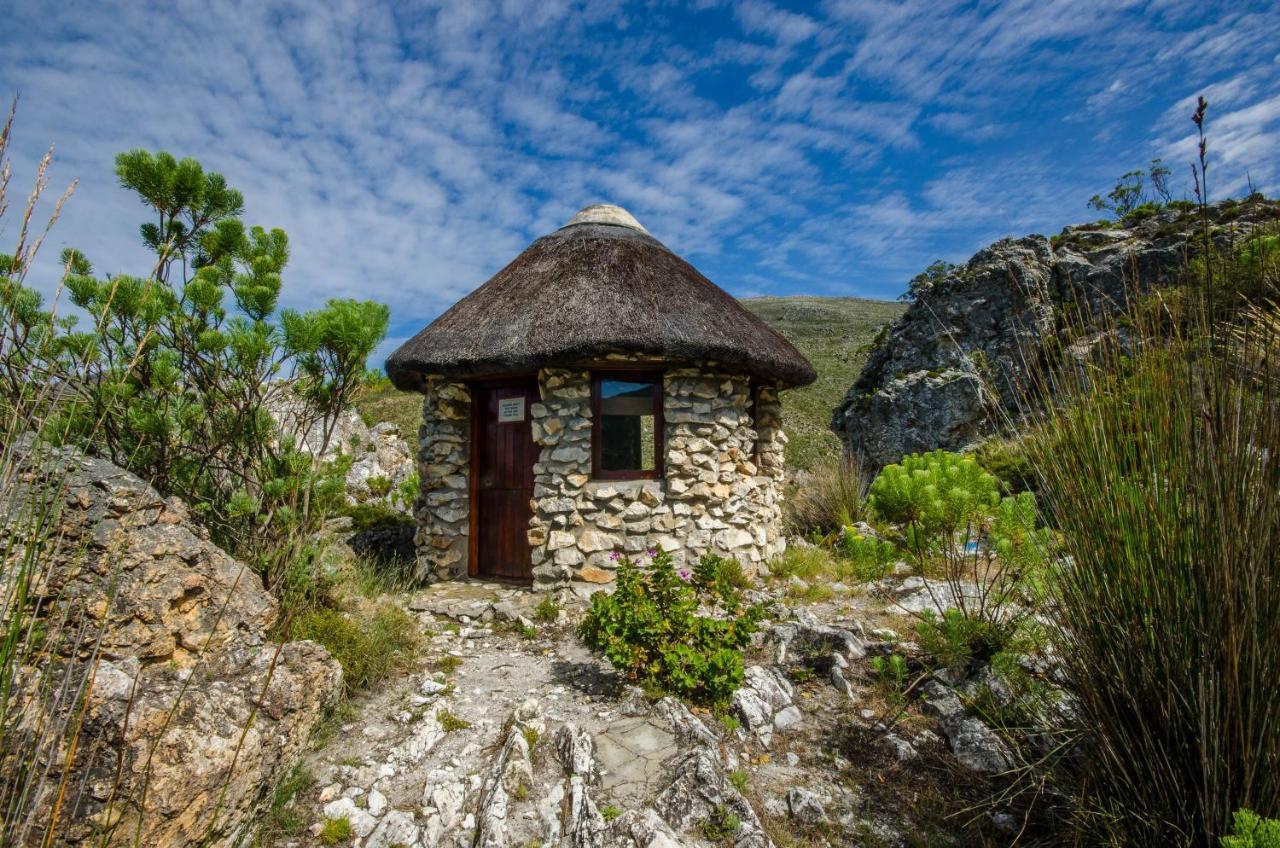 The Volmoed Trust Villa Hermanus Dış mekan fotoğraf